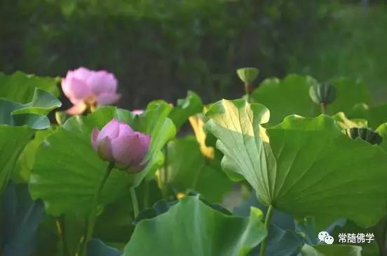 今生的际遇,是前世修来的 今生的际遇,是前世修来的