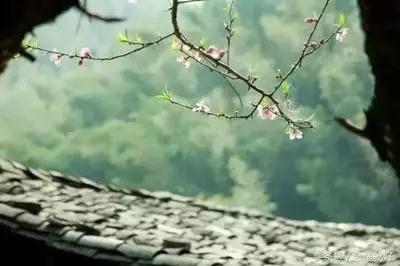 ����֪����ֻ�ܹ���������