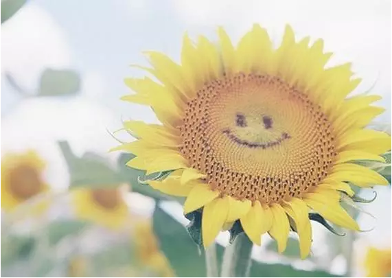 ��ɶ��ɶ��ô�죿�쿴ѧ���֪�˴��������