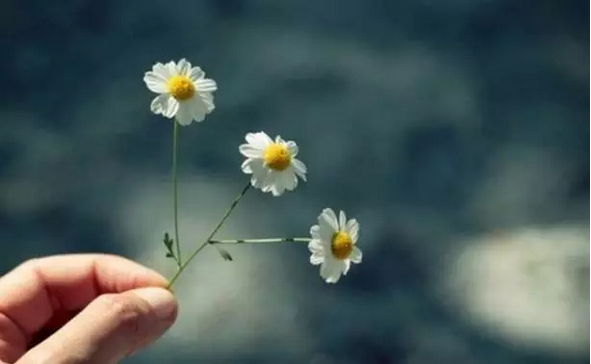 �����Ʊ����ж�_���ƶ񹦹��ܷ������