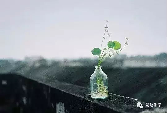 ������Ϊʲô�ಡ����Щ������֪����