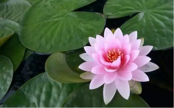 �������ֺ�_��ҵ������