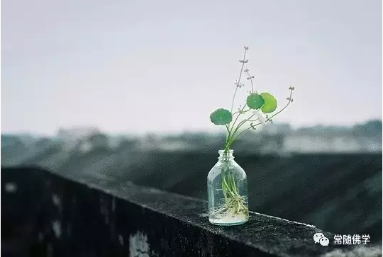 ����ô������Ϊʲô����ð�֢��