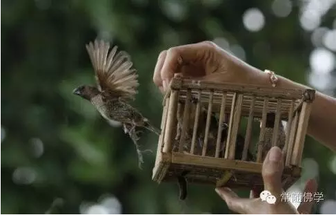 ����ô������Ϊʲô����ð�֢��