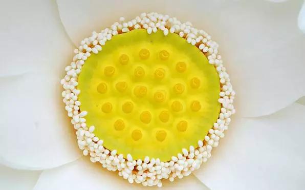 ֻ��һ�䰢���ӷ��ܲ���������