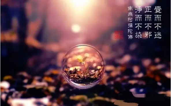 念佛人不可求来世人天福报 念佛人不可求来世人天福报