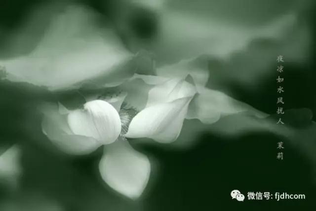 ֻҪ���ҵ��û�г��죬����л���