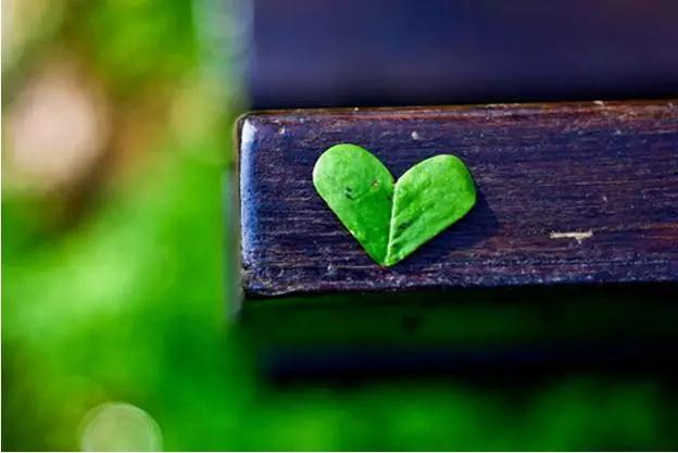 怎样做个好人?高僧:至少达到六条标准 怎样做个好人?高僧:至少达到六条标准