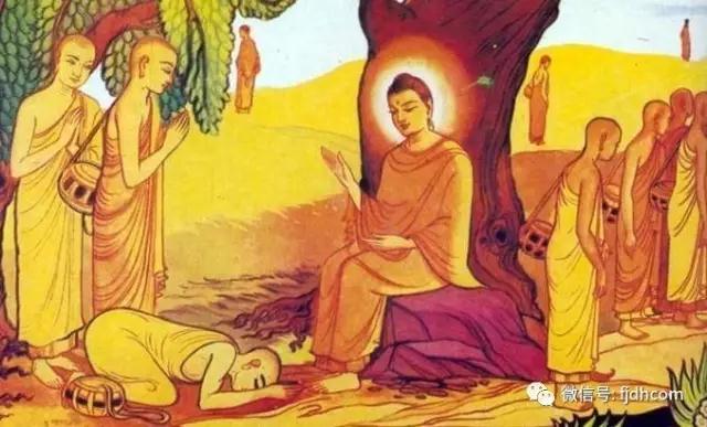 �ú��ˣ�һ����С����ͷ���ܸı�����