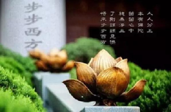 �������������޳ɵģ�