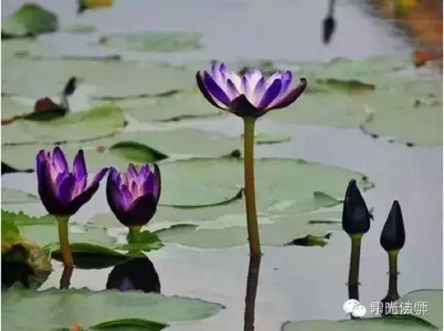 �������������޳ɵģ�