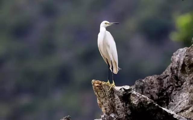 û������_��û���ֻ���