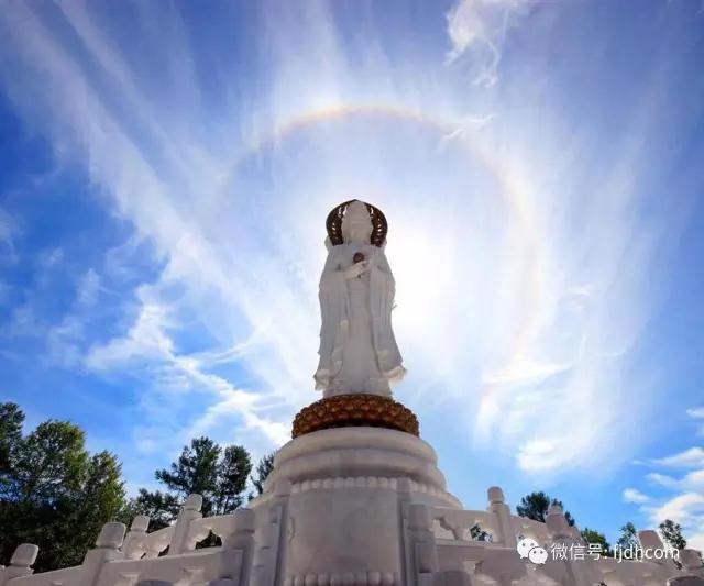 �ܾ�����������������������ԭ��