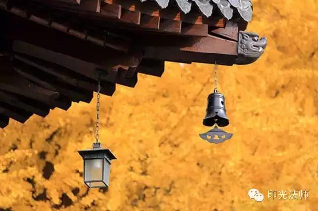 ���ں;����ڵ����ֲ�ͬ