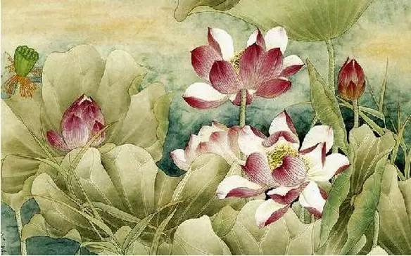 ����Ӧ�ߵ���ȷ��̬