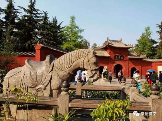 �й���һ��ɲ����������