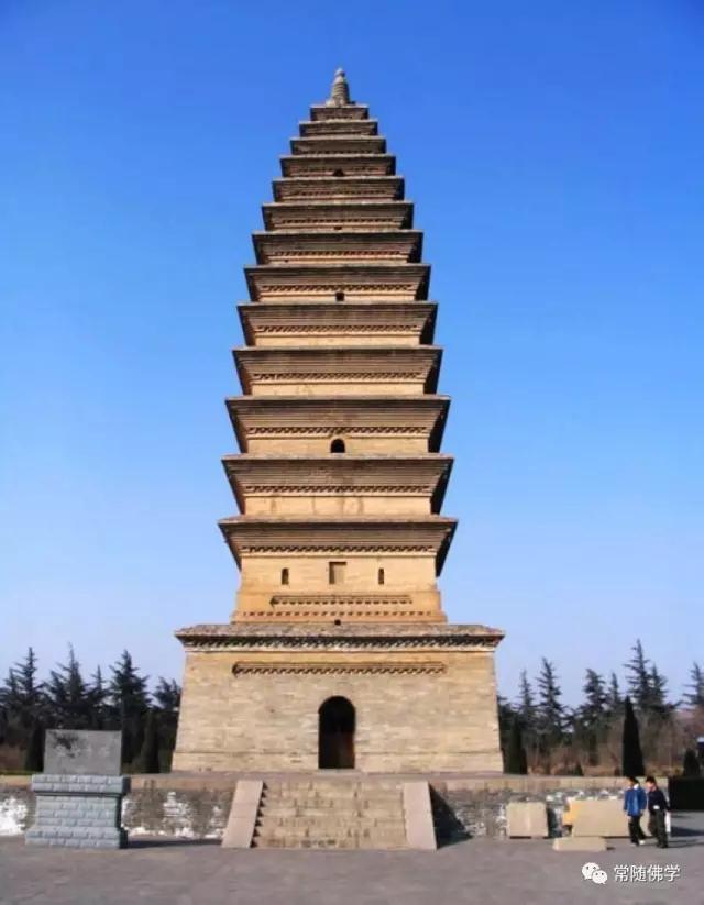 �й���һ��ɲ����������