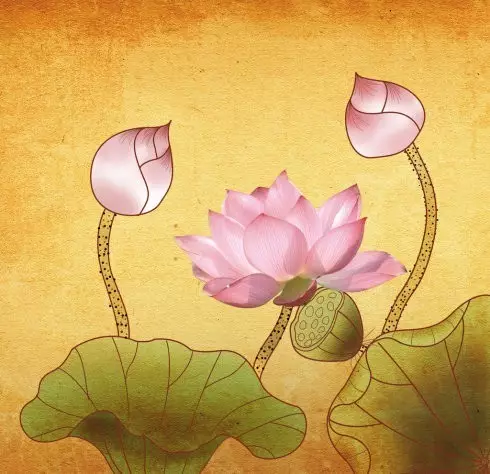 ���֮�����Ҳ����������