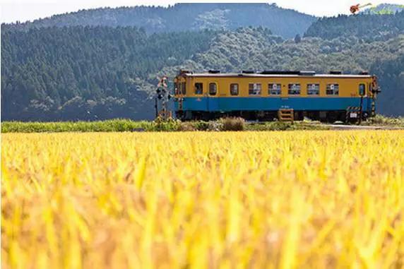 ����ϧ��Щ�鷳�����