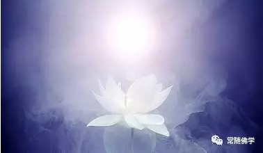 ���ָ�����ǰ�����������