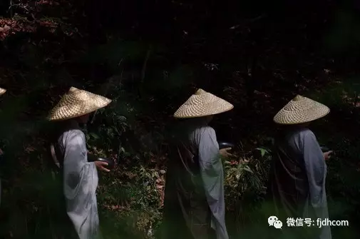 ��ʶ�ĳ���ʦ�����٣�Ϊʲô��������ɮ��