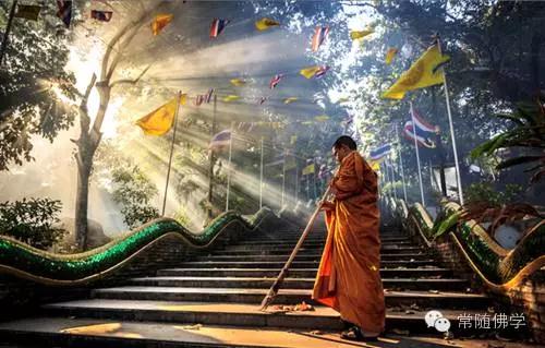 学诚法师:如何通过改变外在,让自己快速成长(贰) 学诚法师:如何通过改变外在,让自己快速成长(贰)