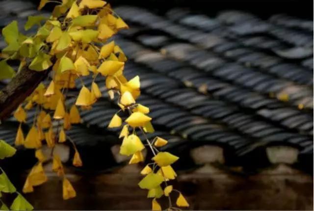 ��һ������û��Ϊʲô