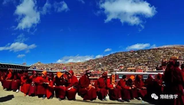 再厉害的高僧大德也无法调伏佛油子 再厉害的高僧大德也无法调伏佛油子