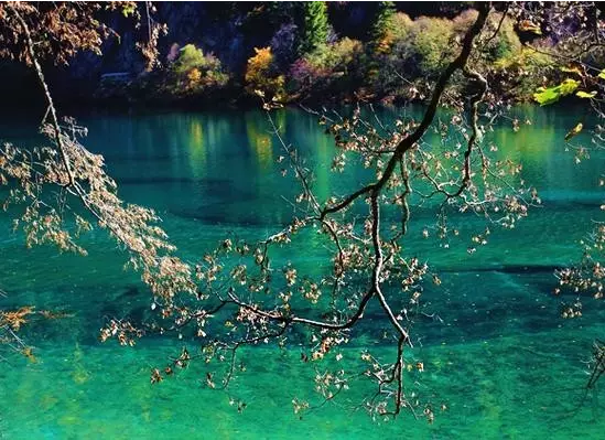 养心莫执著,人生如道场 养心莫执著,人生如道场