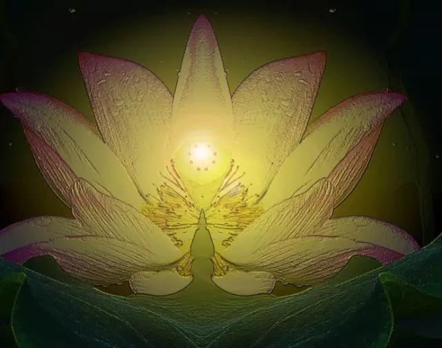 ���ӡ֤����ֻص���ʵ����