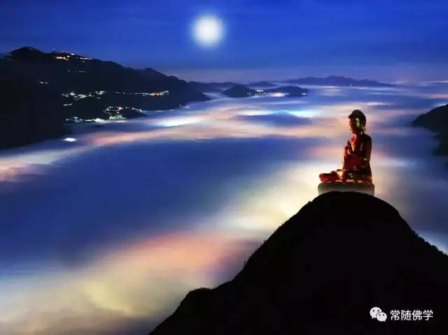 22位顶尖大学博士看佛教 22位顶尖大学博士看佛教