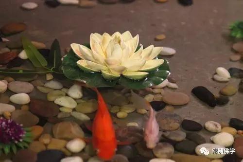 �ǳ����ˣ��������̵������