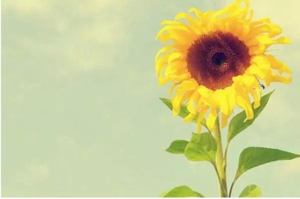 如果,今天就是生命的最后一天 如果,今天就是生命的最后一天