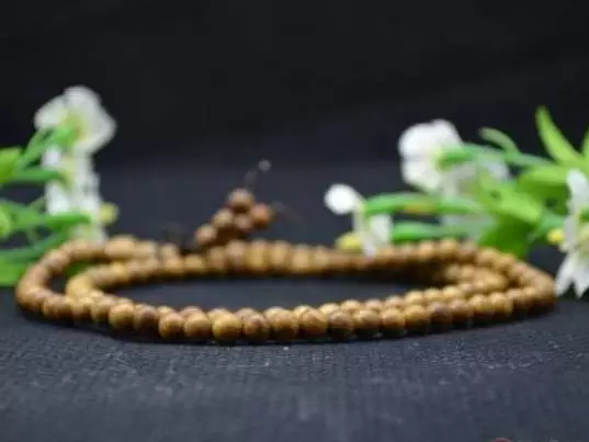 ���ƹඥ��ʦ��һ�������