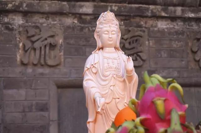 ӡ�ⷨʦ�������ɱ�𣿡������������Ⱥ����ҵ����