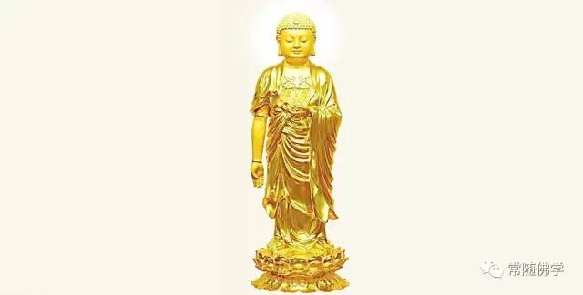 �ҵľ����������ӷ������������