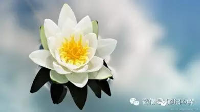 ���˼�˽��������ס�_������ʵû��ʲô����