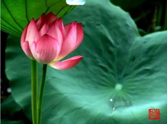 生活中这些细节千万要注意 生活中这些细节千万要注意