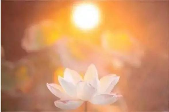 ���Ű��ɵ�����������