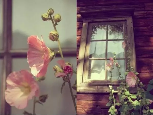 ������Щ_�Ͳ���������������ʹ��