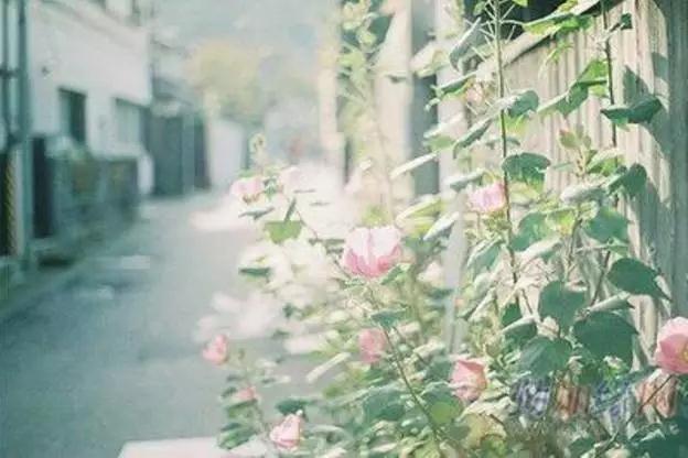 我发善心做事_但为何结果却事与愿违? 我发善心做事_但为何结果却事与愿违?