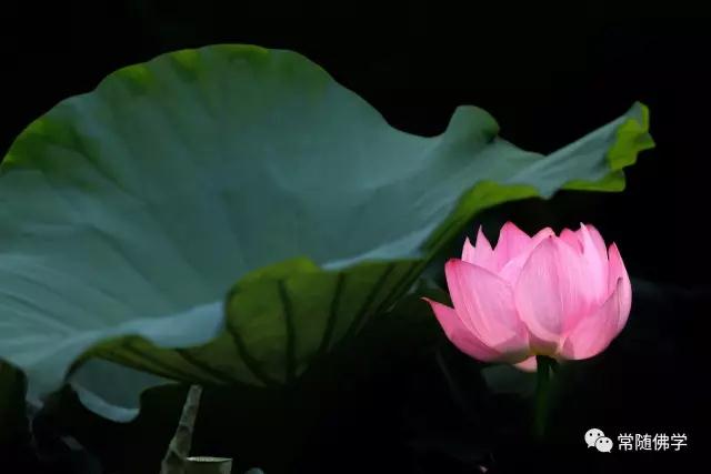 �����һ���а����ʧ�ĸ�����