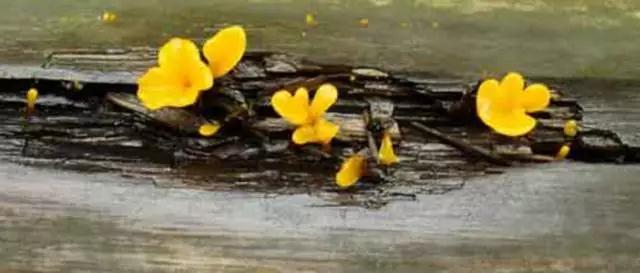 人生百空歌 人生百空歌