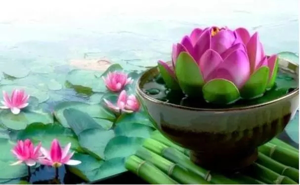 ӡ���ʦ�������������