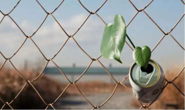 ���֪���Լ���ҵ���ж��أ�