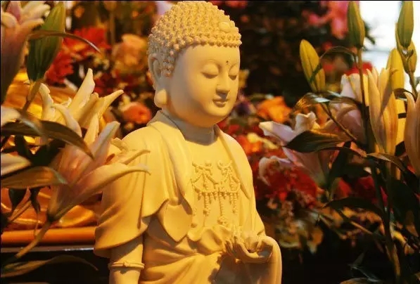 ��ɮն�����̰���ӹ�һ��