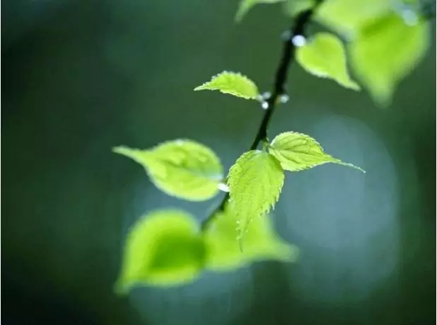 ������в�������������_������Ӧ������