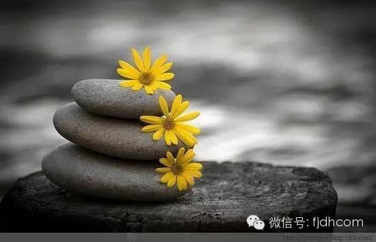 һ��һ���޷�ǰ����һ��һ�нԳ����֣�