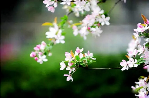 ��������ǰ�Ĺ�ʧ��