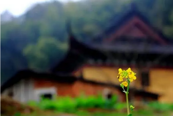 ʲô�������ĸ��¹��£�